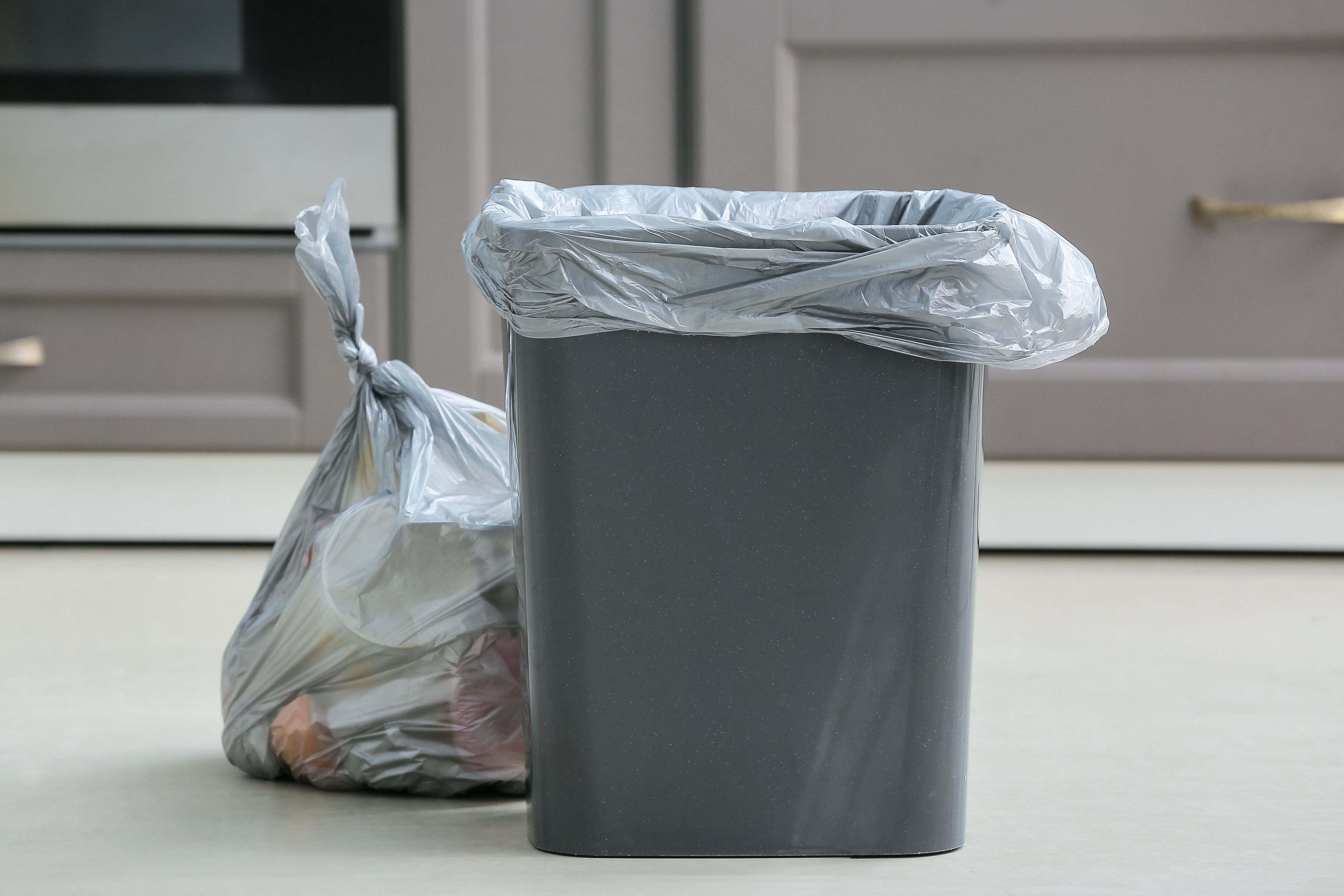 Household trash can with a full clear garbage bag beside